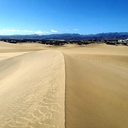 Excelsior Ii Vista *