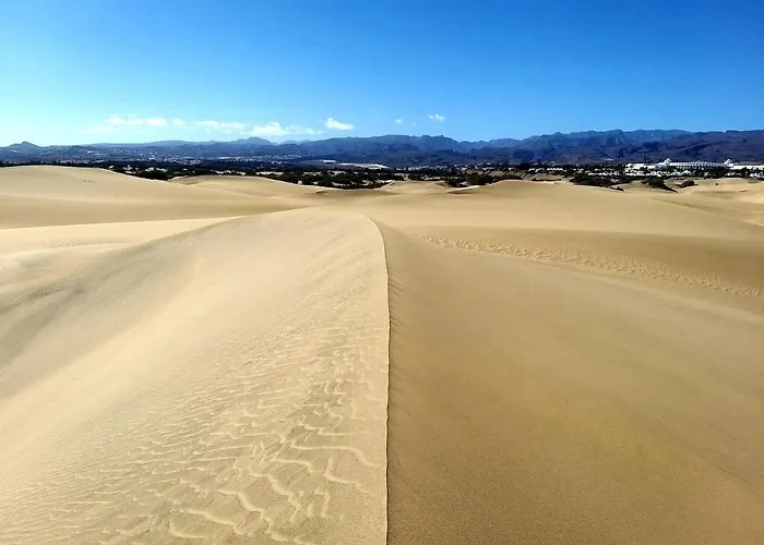 Excelsior Ii Vista *